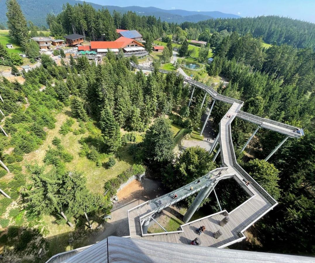 Fewo Amalia Sankt Englmar Exterior foto